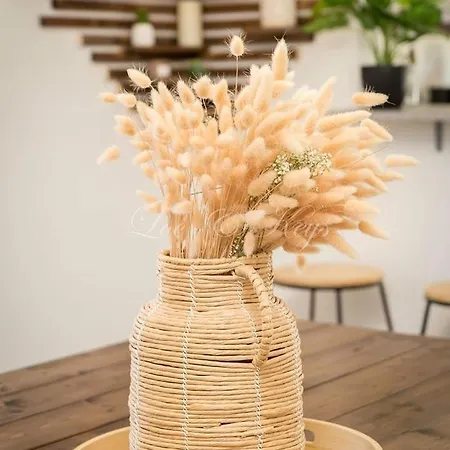 Maison Du Soleil Atypique בית נופש