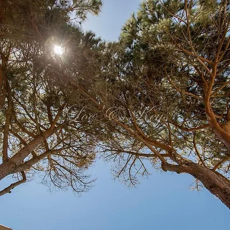 Maison Du Soleil Atypique בית נופש *
